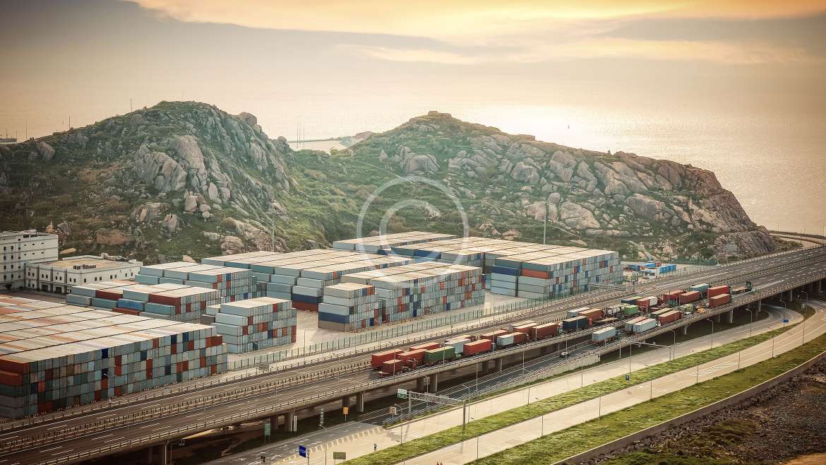 On Board Detective Survey (221B)